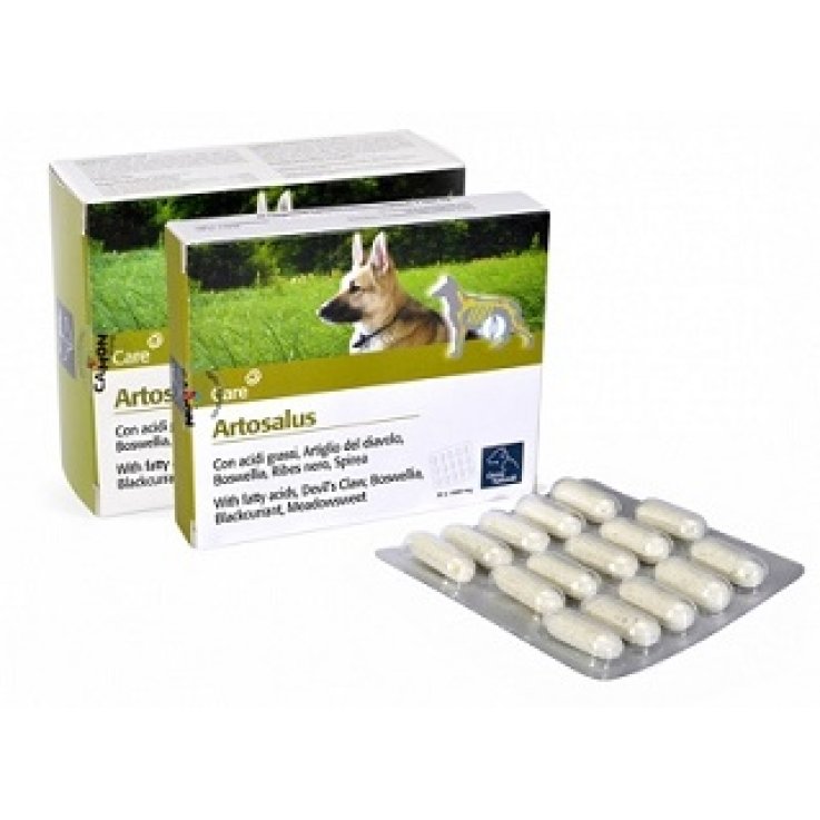 ARTOSALUS ORME NAT 60CPR ARTOSALUS ORME NAT 60CPR