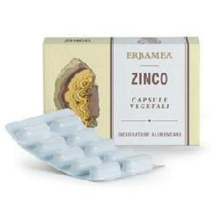 Zinco 24cps Vegetali Zinco 24cps Vegetali