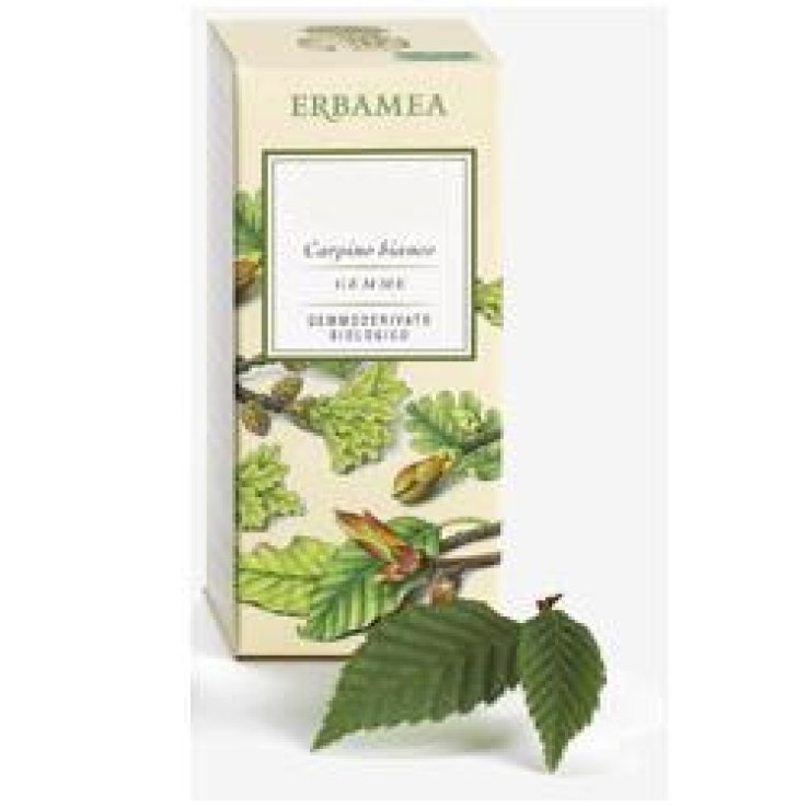 Betula Verrucosa Linfa Gd Bio