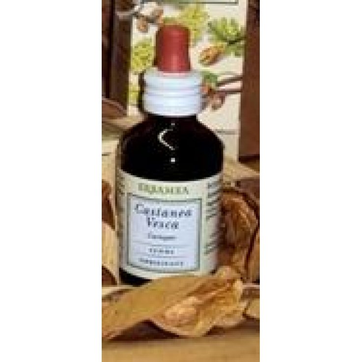 Castanea Vesca Gemme Gd Bio Castanea Vesca Gemme Gd Bio