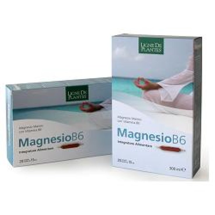 MAGNESIO B6 20AB 15ML MAGNESIO B6 20AB 15ML