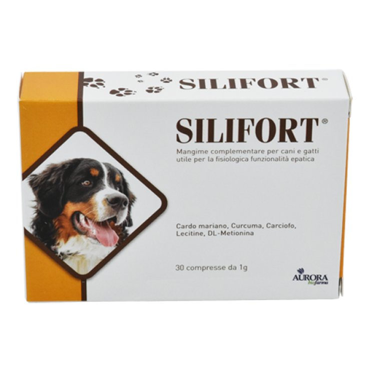 Silifort 30cpr 1g