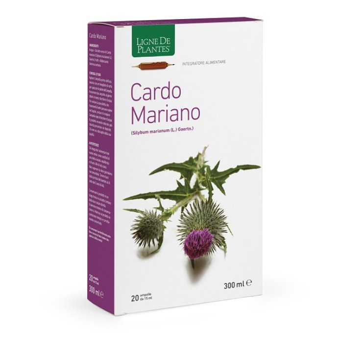 Cardo Mariano 20ampolle Cardo Mariano 20ampolle