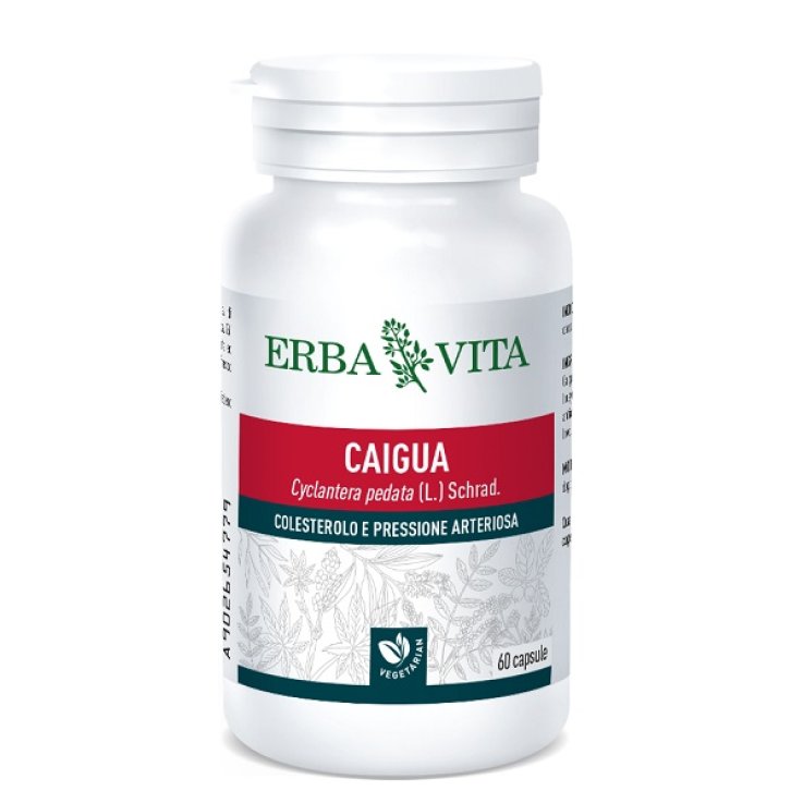 Caigua 60cps 400mg Caigua 60cps 400mg