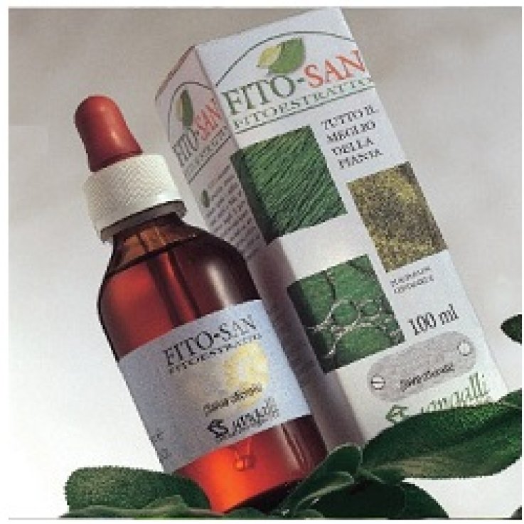 Ribes Nero Tintura Madre 100ml Ribes Nero Tintura Madre 100ml