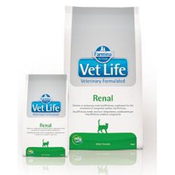 VET LIFE NAT FEL RENAL 400G VET LIFE NAT FEL RENAL 400G
