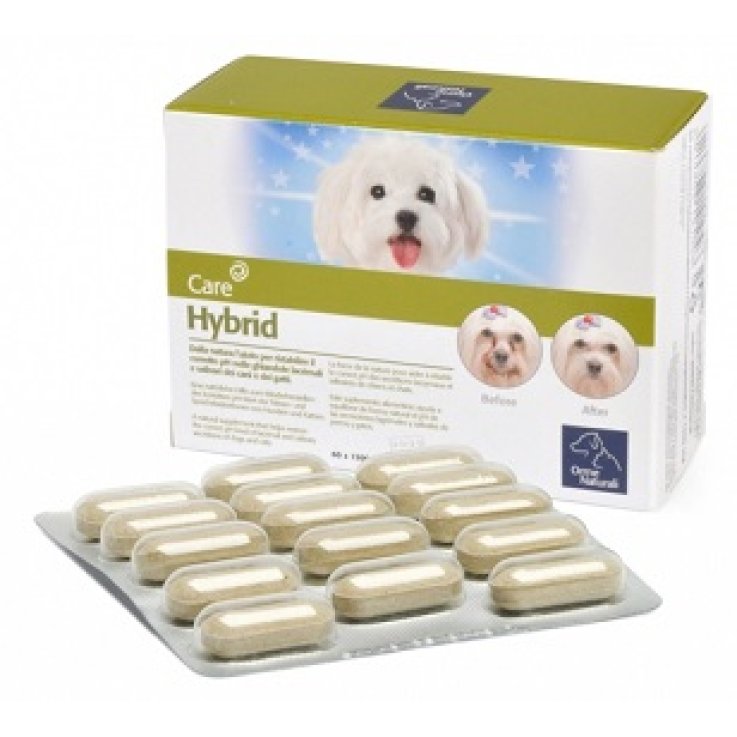 Hybrid Orme Nat 60cpr Hybrid Orme Nat 60cpr