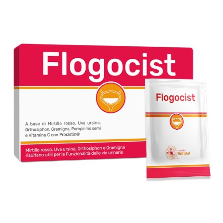 Flogocist 10bust Flogocist 10bust