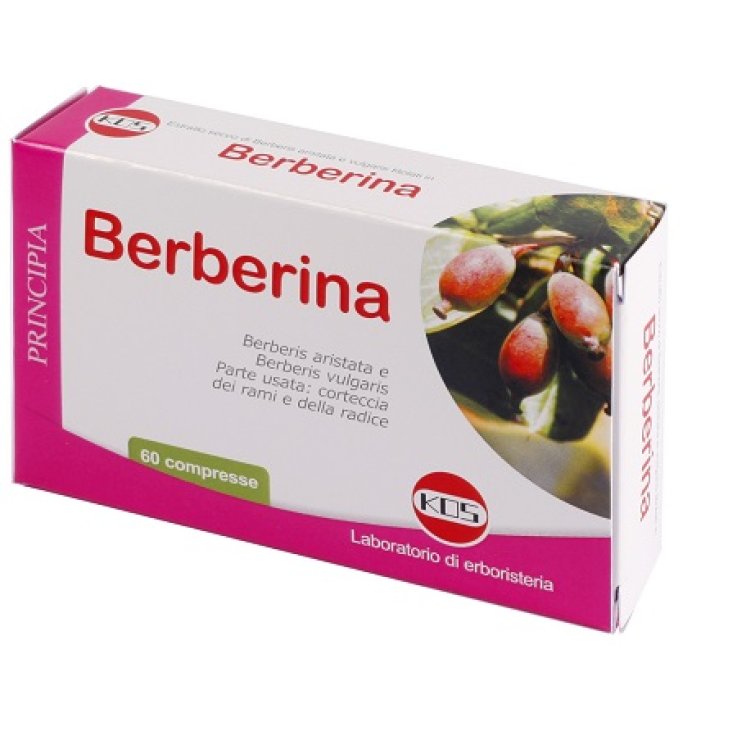 Berberina Estratto Secco 60cpr Berberina Estratto Secco 60cpr