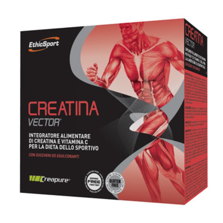 Creatina Vect20bust Etichsport Creatina Vect20bust Etichsport