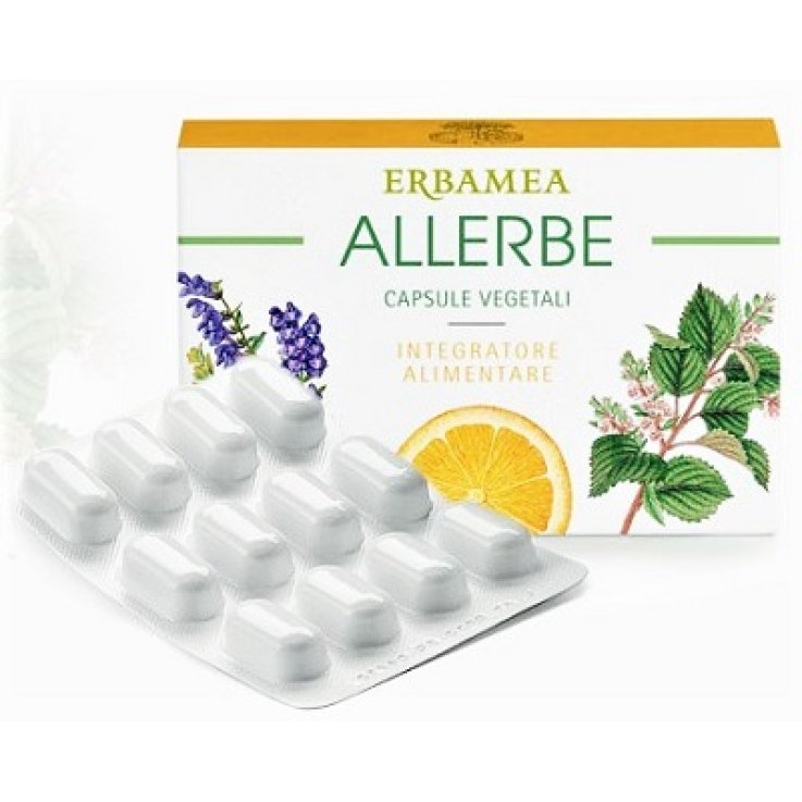 Allerbe 24cps