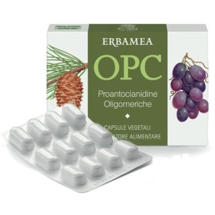 Opc 24capsule Opc 24capsule