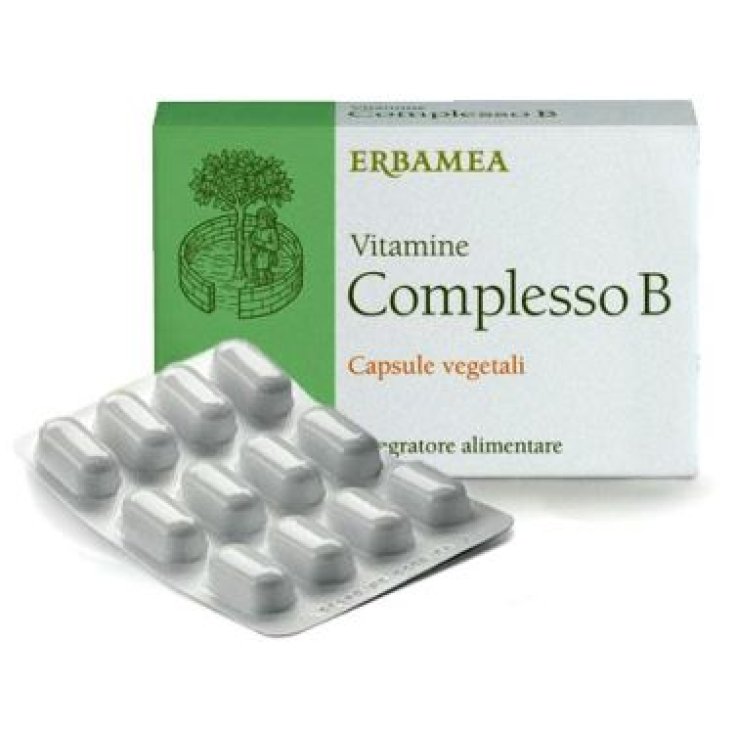 Vitamine Complesso B 24cps Veg Vitamine Complesso B 24cps Veg