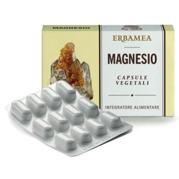 Magnesio 24cps 1200mg Magnesio 24cps 1200mg