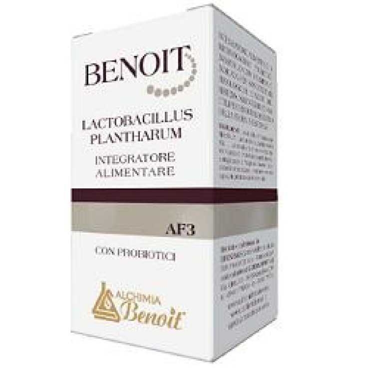 Benoit Lactobacillus Plan30cps Benoit Lactobacillus Plan30cps