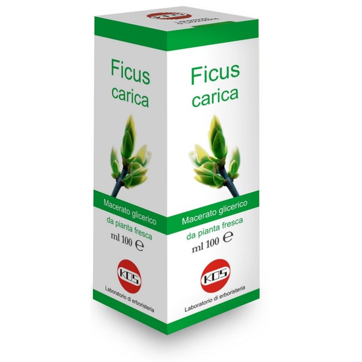 Ficus Carica Mg 100ml Ficus Carica Mg 100ml