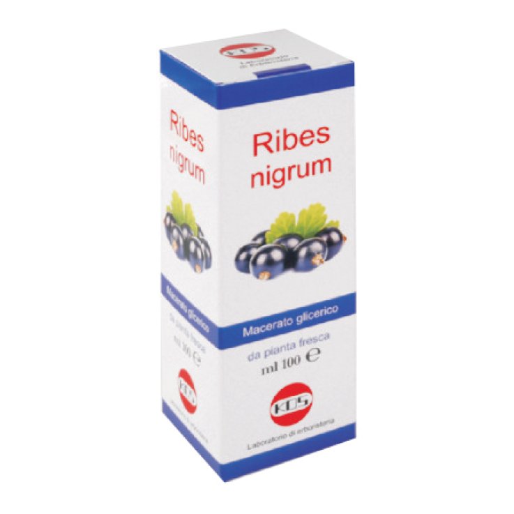 Ribes Nigrum Mg 100ml Gtt Ribes Nigrum Mg 100ml Gtt