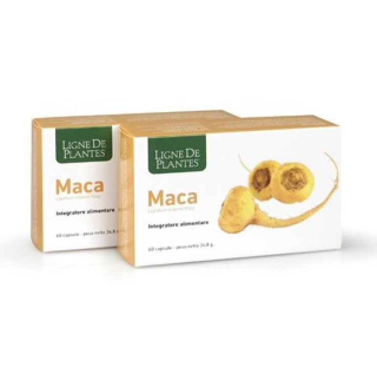 Maca 60cps Maca 60cps