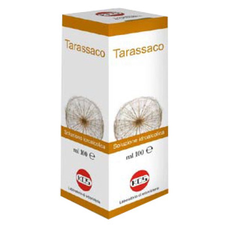 TARASSACO SOL IAL PIANTA FR100 TARASSACO SOL IAL PIANTA FR100