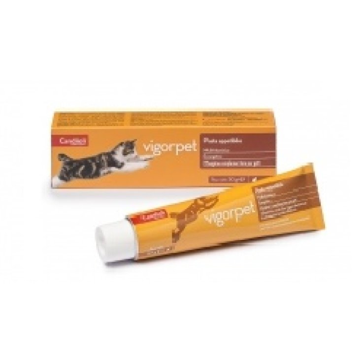 Vigorpet Gatti Pasta 50g Vigorpet Gatti Pasta 50g