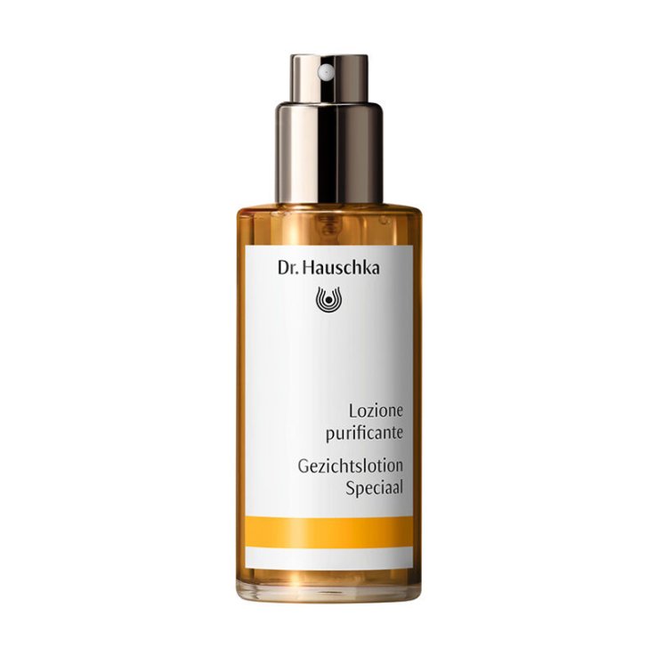 Dr Hauschka Loz Purific 100ml