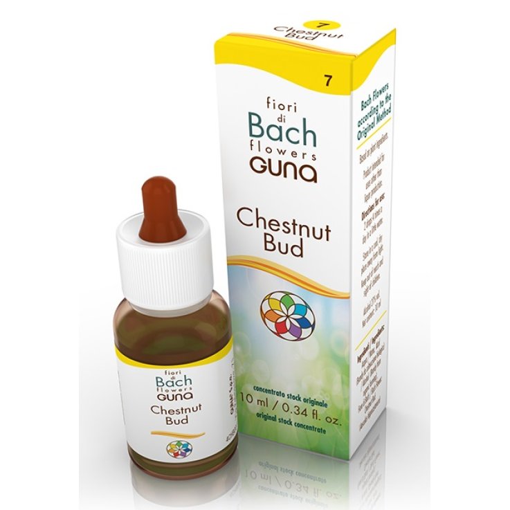 Chestnut Bud Gtt 10ml Chestnut Bud Gtt 10ml