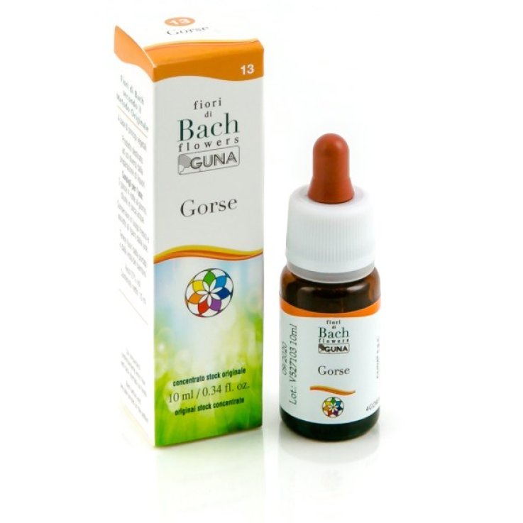 Gorse Gun Gtt 10ml Gorse Gun Gtt 10ml