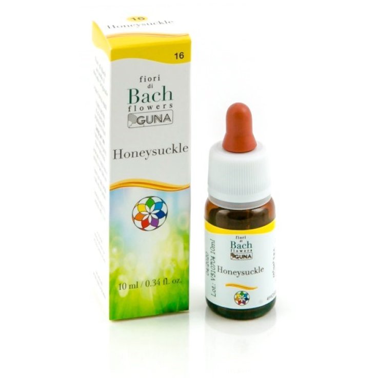 Honeysuckle Gun Gtt 10ml