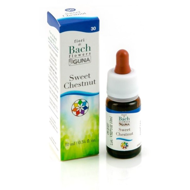 Sweet Chestn Gun Gtt 10ml Sweet Chestn Gun Gtt 10ml