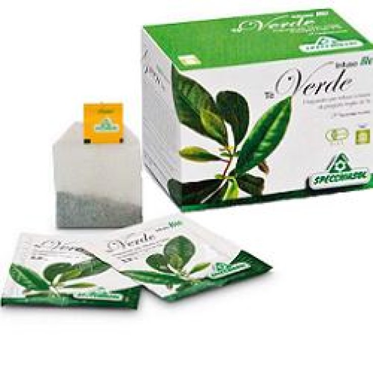 Tisana Te Verde 20bust