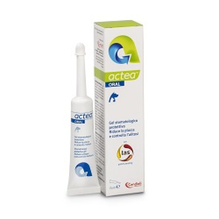 Actea Oral Gel Stomatolog 15ml Actea Oral Gel Stomatolog 15ml