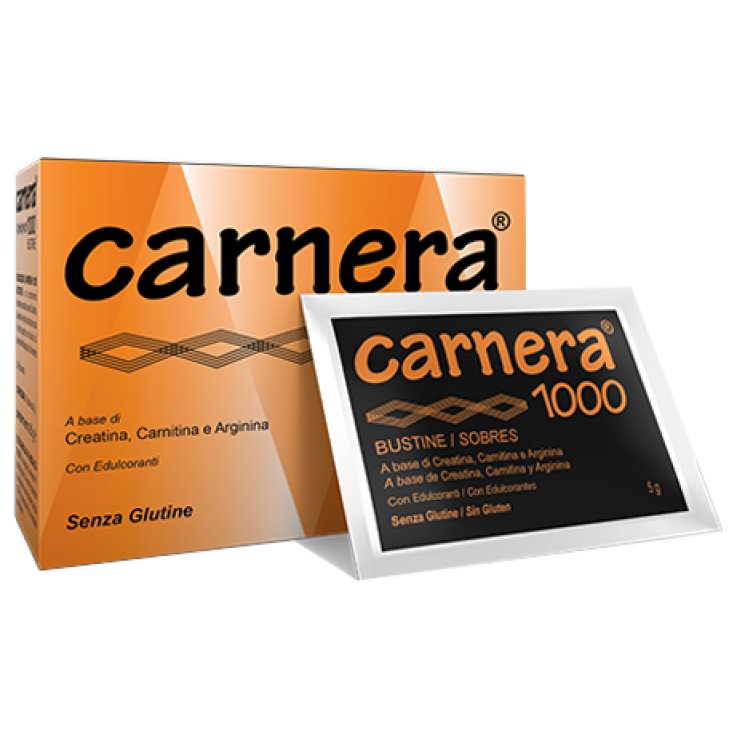 Carnera 1000 18bust Carnera 1000 18bust