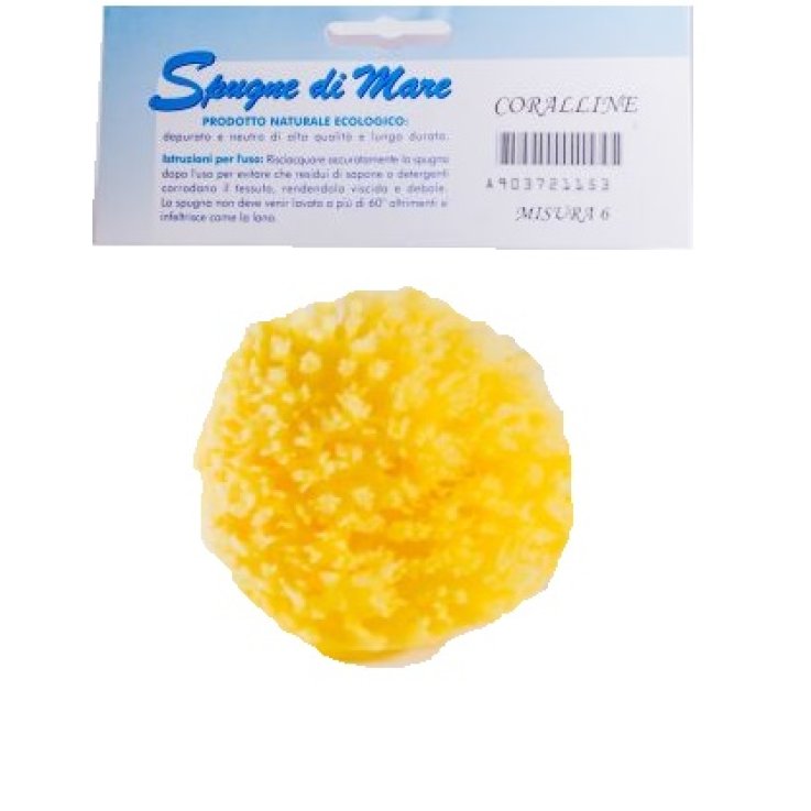 SPUGNA MARE NATURALE M SPUGNA MARE NATURALE M
