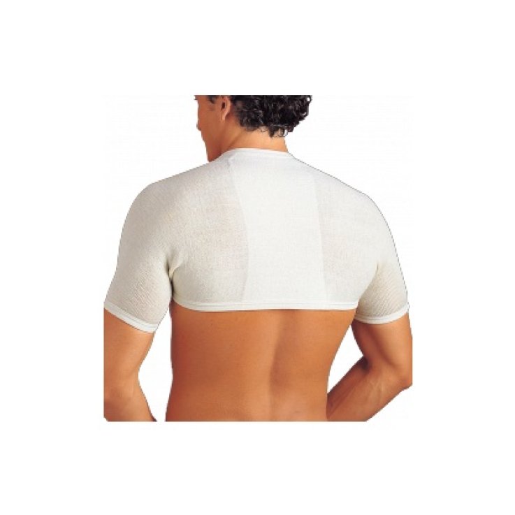 Gibaud Coprispalle Anatomico 3 Gibaud Coprispalle Anatomico 3