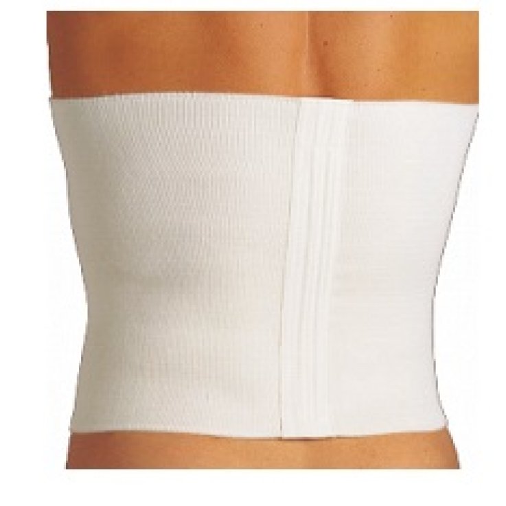 GIBAUD CINT NORM 32CM K GIBAUD CINT NORM 32CM K