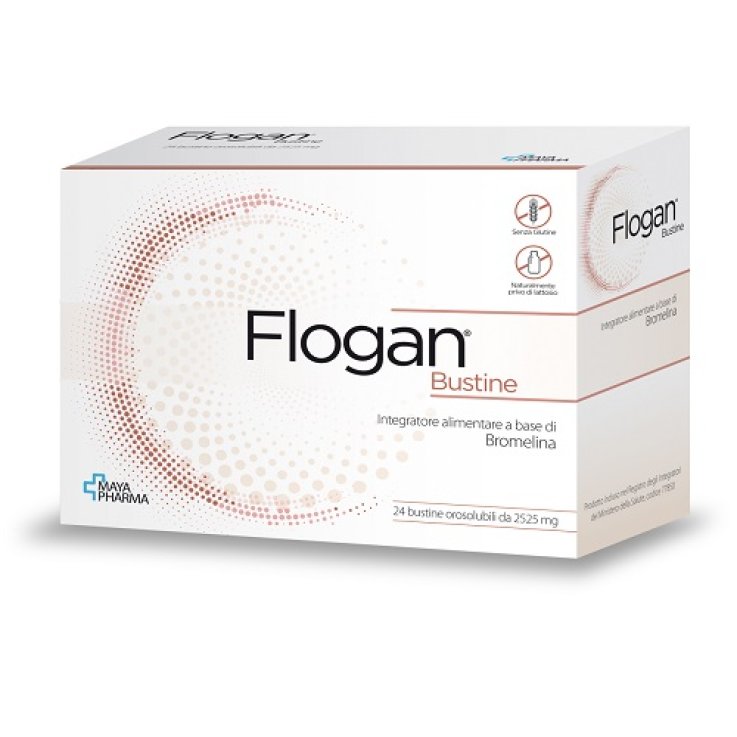 Flogan 24bust Flogan 24bust