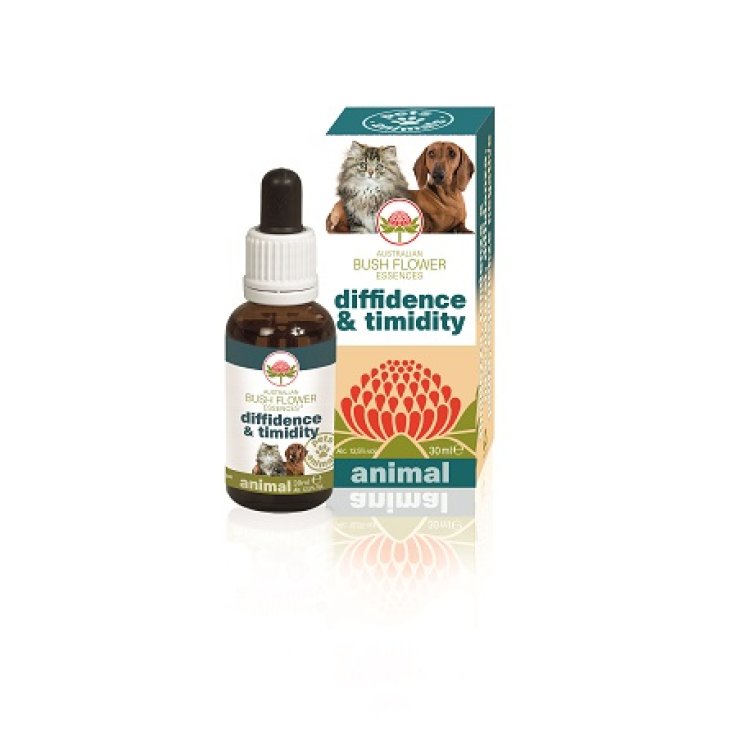 Diffidence & Timidity 30ml Diffidence & Timidity 30ml
