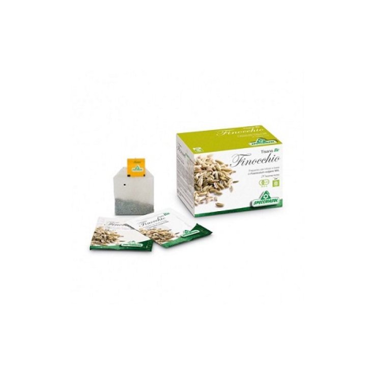 Infuso Finocchio Bio 20filtri Infuso Finocchio Bio 20filtri