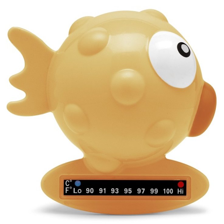 Ch Termometro Pesce Arancio Ch Termometro Pesce Arancio