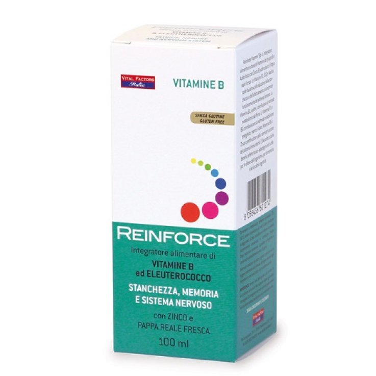 Reinforce Vitamina B 100ml Reinforce Vitamina B 100ml