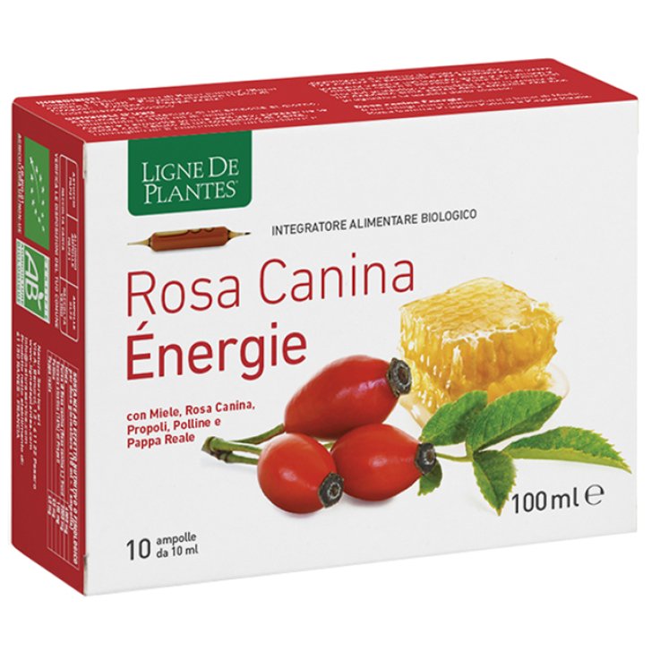 Rosa Canina Energie Bio 10amp Rosa Canina Energie Bio 10amp