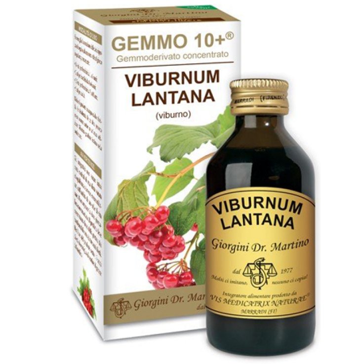 VIBURNO LIQ ANALCOLICO 100ML VIBURNO LIQ ANALCOLICO 100ML