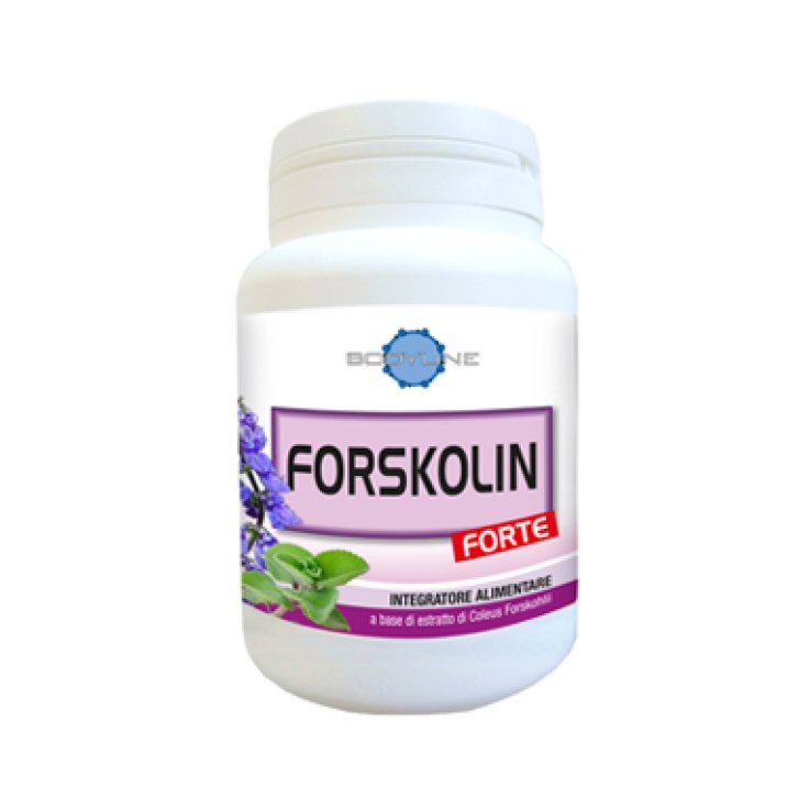 Forskolin Forte 60cps Forskolin Forte 60cps