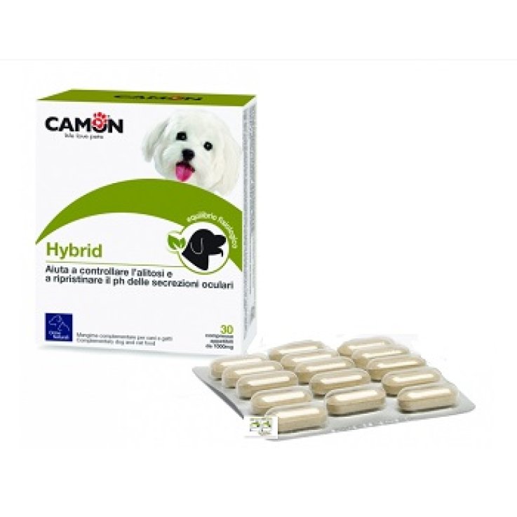 Hybrid 30cpr