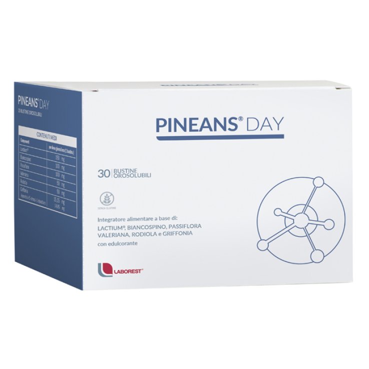 Pineans Day 30bust Pineans Day 30bust