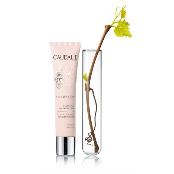 RVLIFT FLUIDO SPF20 40ML 2016 RVLIFT FLUIDO SPF20 40ML 2016