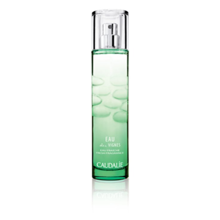 ACQUA FRESCA EAU DES VIGNE50ML ACQUA FRESCA EAU DES VIGNE50ML