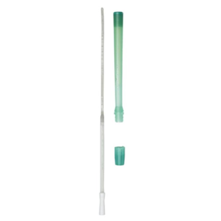 Speedicath Comp U Nel Ch12 30p Speedicath Comp U Nel Ch12 30p