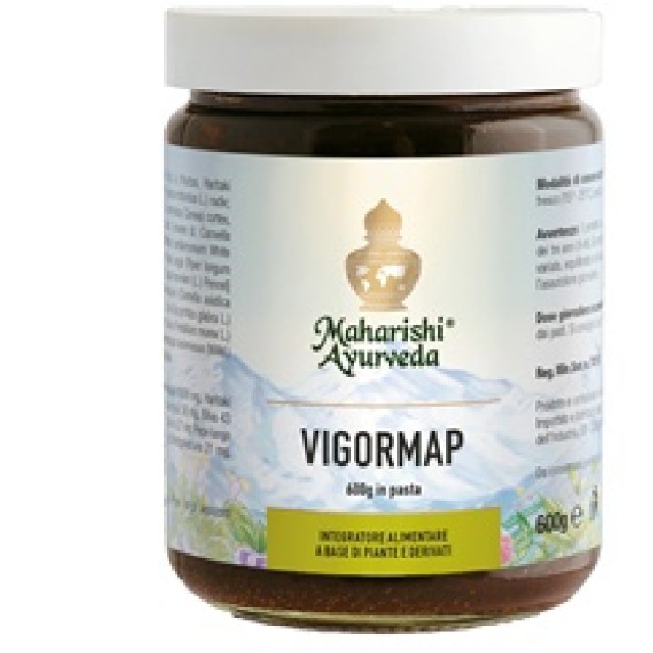 Vigormap Pasta 600g