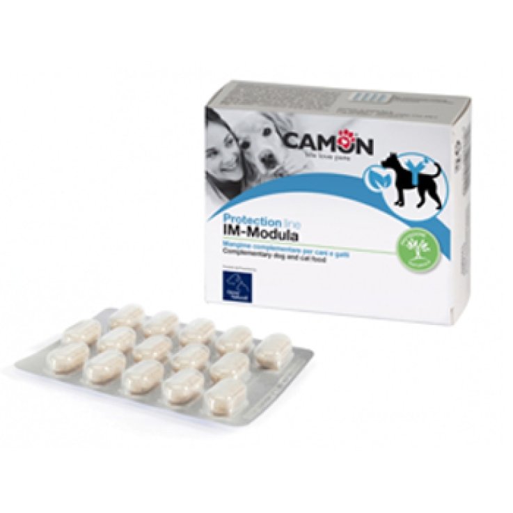 Immodula 60cpr Immodula 60cpr